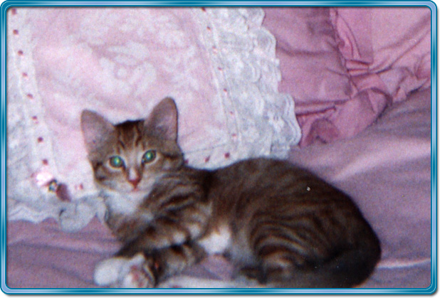Kelson on bed