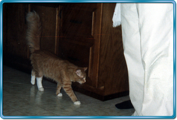 Kelson in kitchen