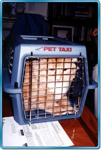 Kelson in carrier
